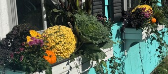 Charming 1-bedroom condo in marvelous Marblehead with hidden patio