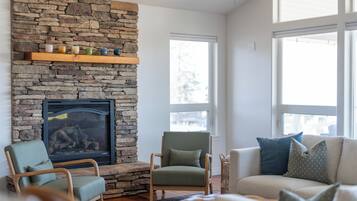 TV connectée, cheminée, jeux vidéo, lecteur de DVD