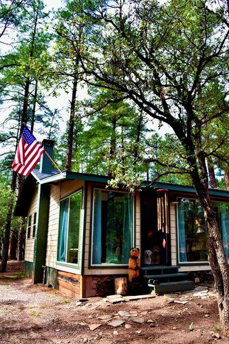 Modern Forest Cabin in Pine AZ • King Bed • Fireplace • Trails