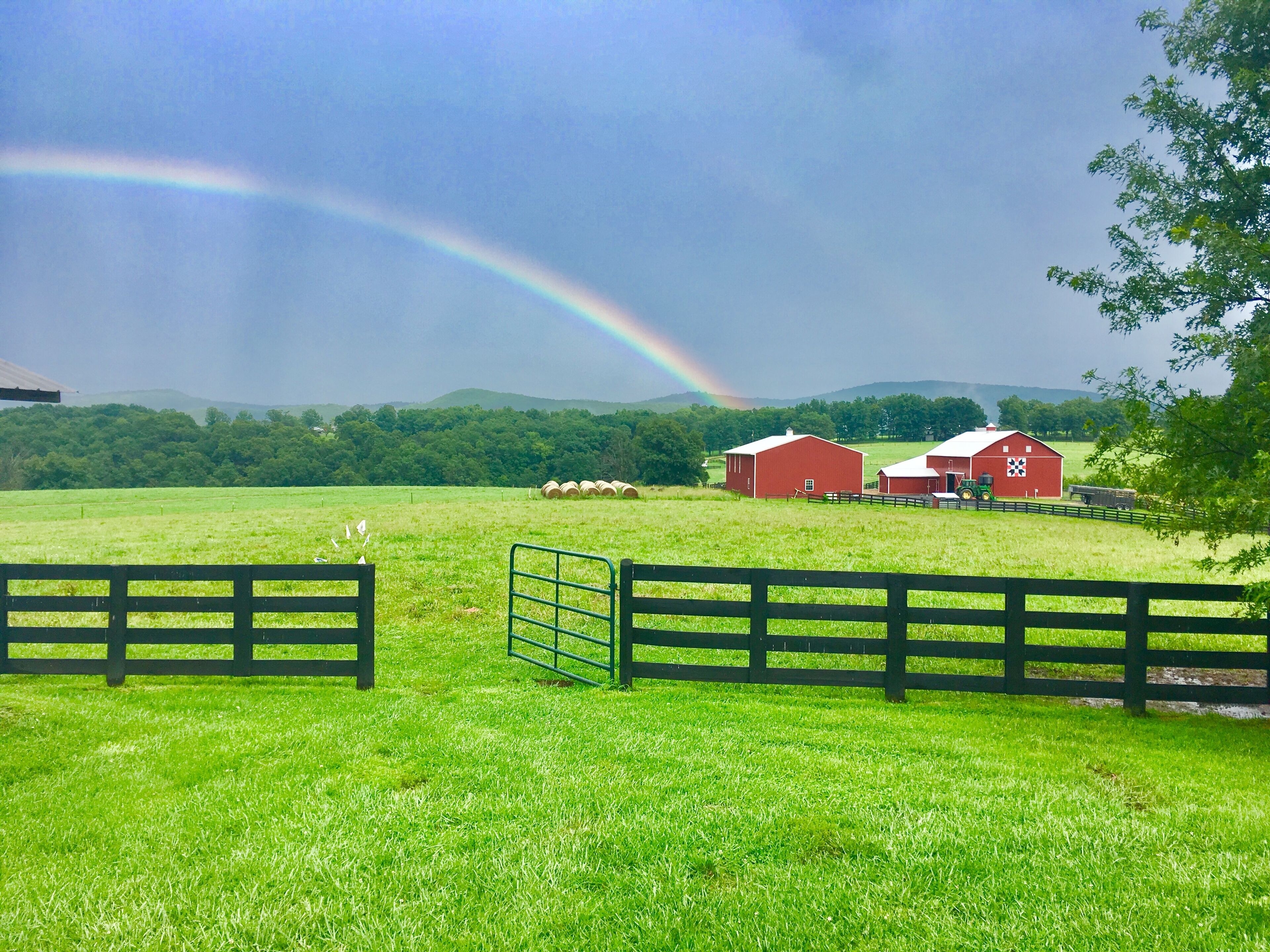 Área da propriedade