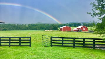 Área da propriedade