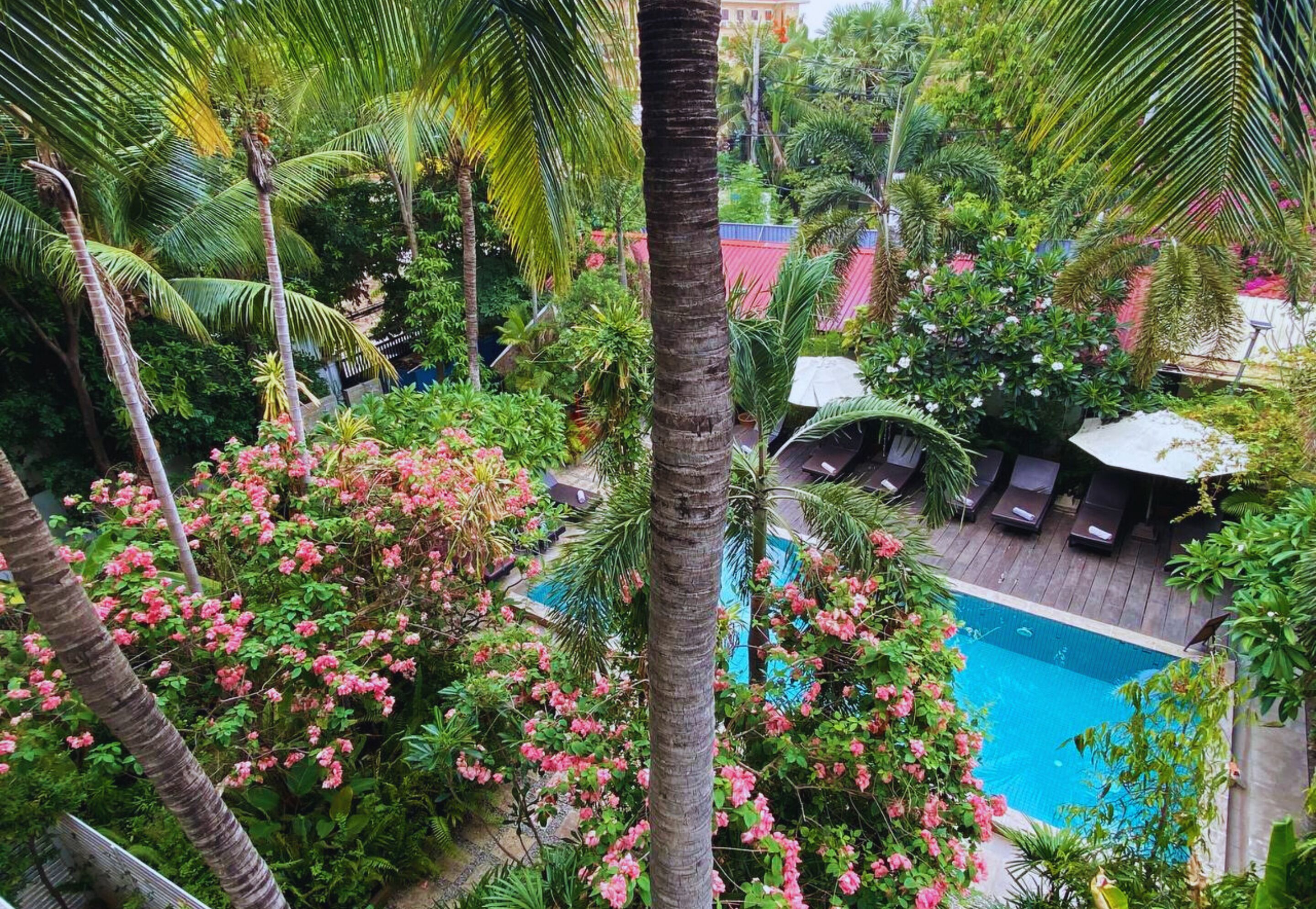A pool surrounded by lush greenery and palm trees, with lounge chairs and umbrellas.