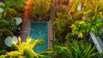 Uma piscina no terraço, rodeada por vegetação exuberante e palmeiras.