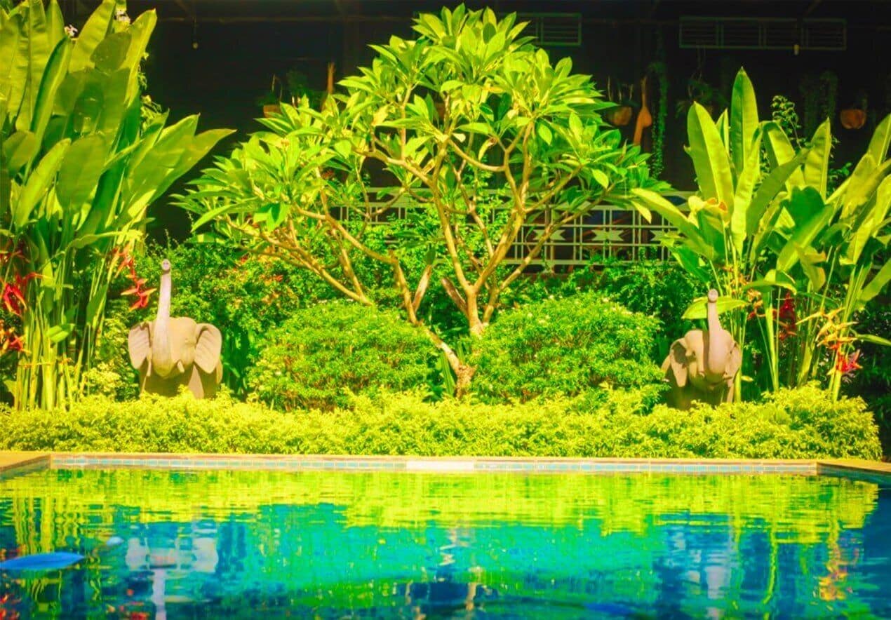 A pool surrounded by lush greenery and two elephant statues.