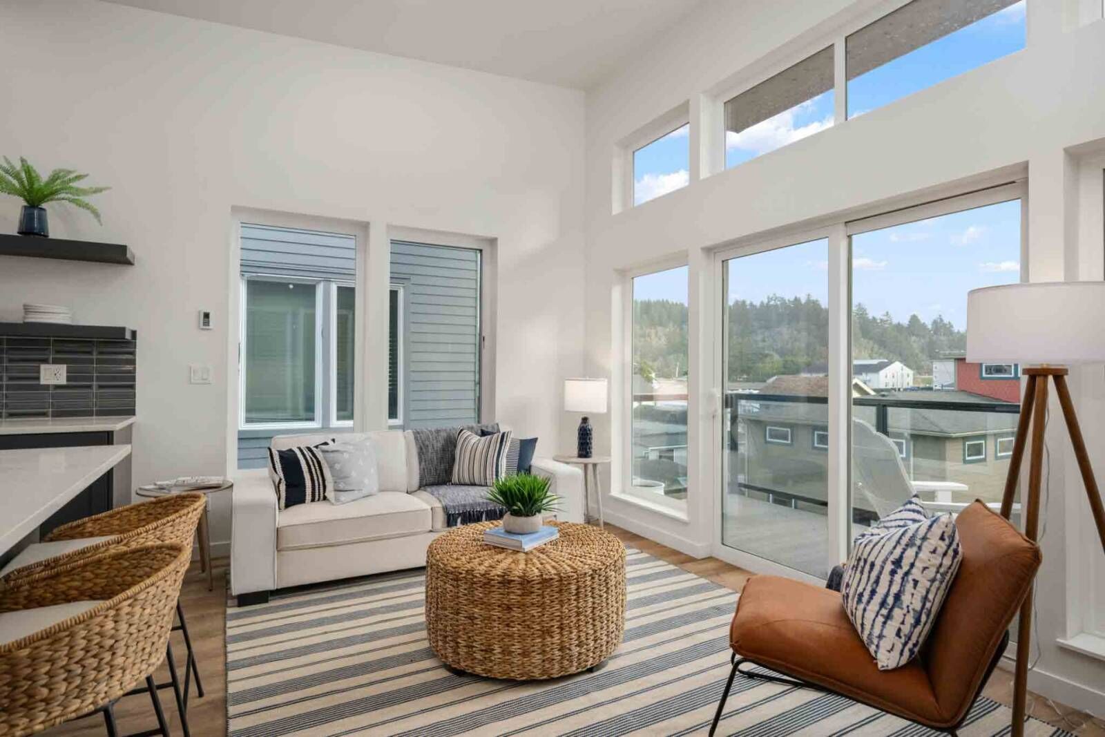 智能电视、壁炉、DVD 播放器