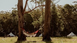 Un hamac tendu entre deux arbres, dans un champ herbeux, avec des tentes en arrière-plan.