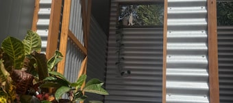 Triple 1xQueen 1xSingle Beds, Glamping tent