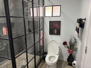 Ducha, secador de pelo, toallas, jabón