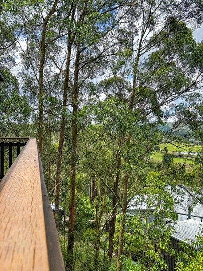 Paterson Skywalk & Bush Bedroom
