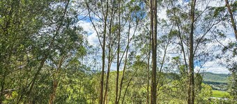 Paterson Skywalk & Bush Bedroom
