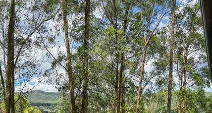 Paterson Skywalk & Bush Bedroom