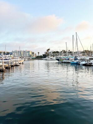 Marina