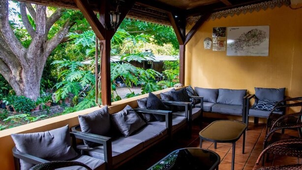 A covered outdoor seating area with a sofa and chairs, a small table, and a view of a garden with a large tree and various plants. - Le tropical Chez jeannette (Rodrigues Island)
