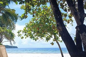 A beach with clear skies, a sandy shore, and trees. - Hawaii Lounge (Sihanoukville)