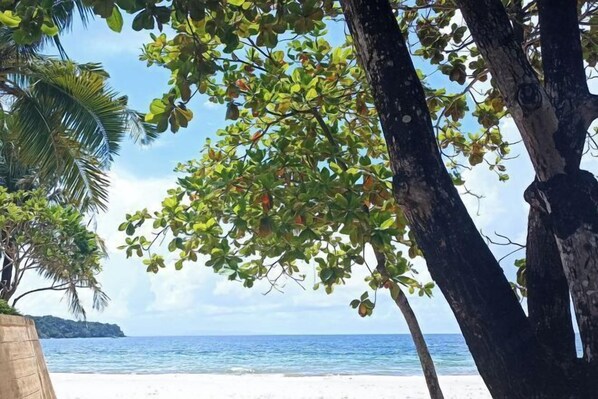 Praia particular nas proximidades 