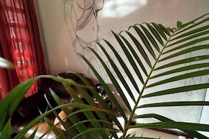 A plant with long, slender leaves in a room with a wall that has a drawing. - Hawaii Lounge (Sihanoukville)