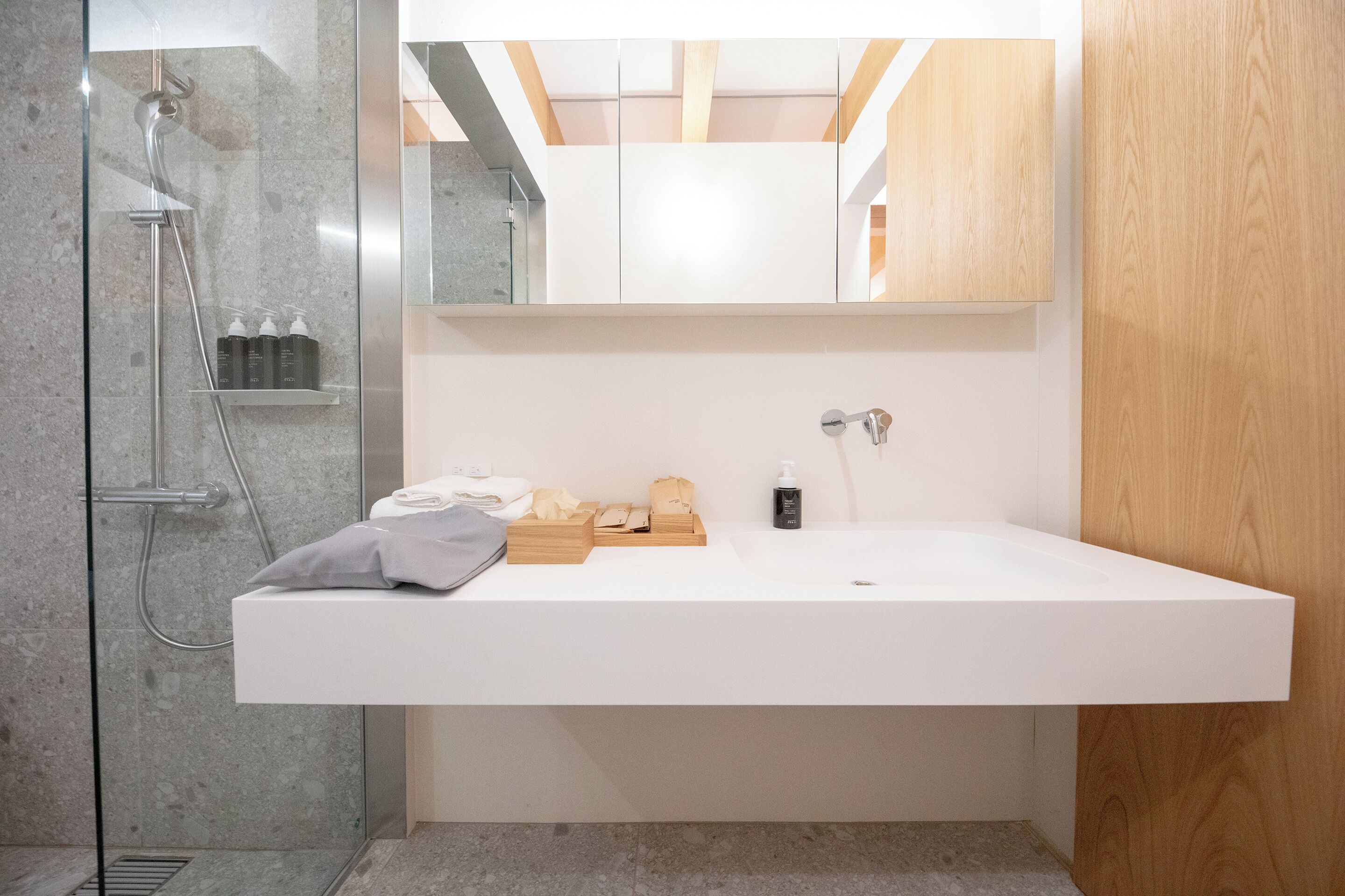 Basic Twin Room | Bathroom | Hair dryer, towels, shampoo, toilet paper