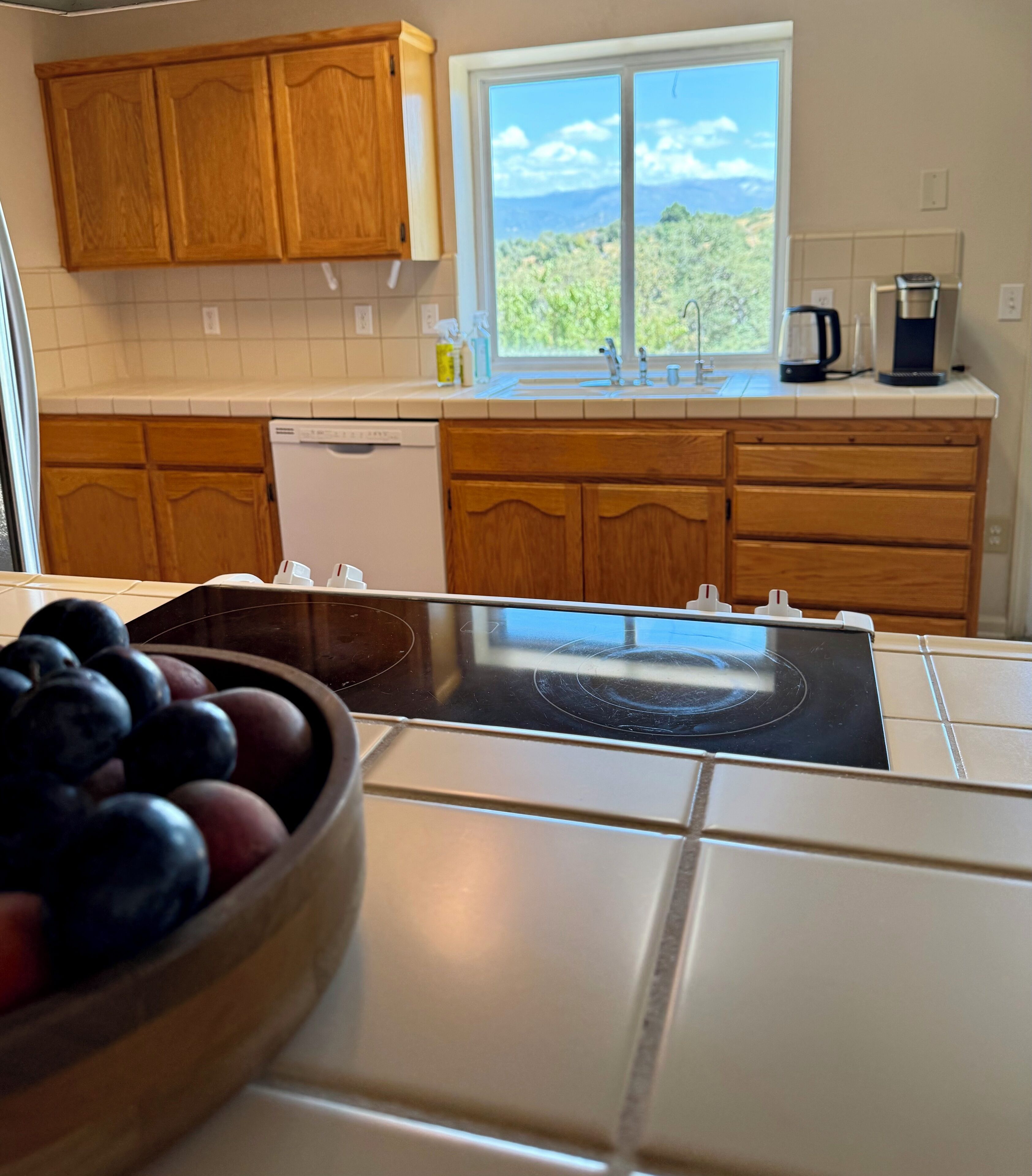 Microondas, horno, parrilla de estufa y lavavajillas 