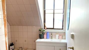 Shower, towels, soap, toilet paper