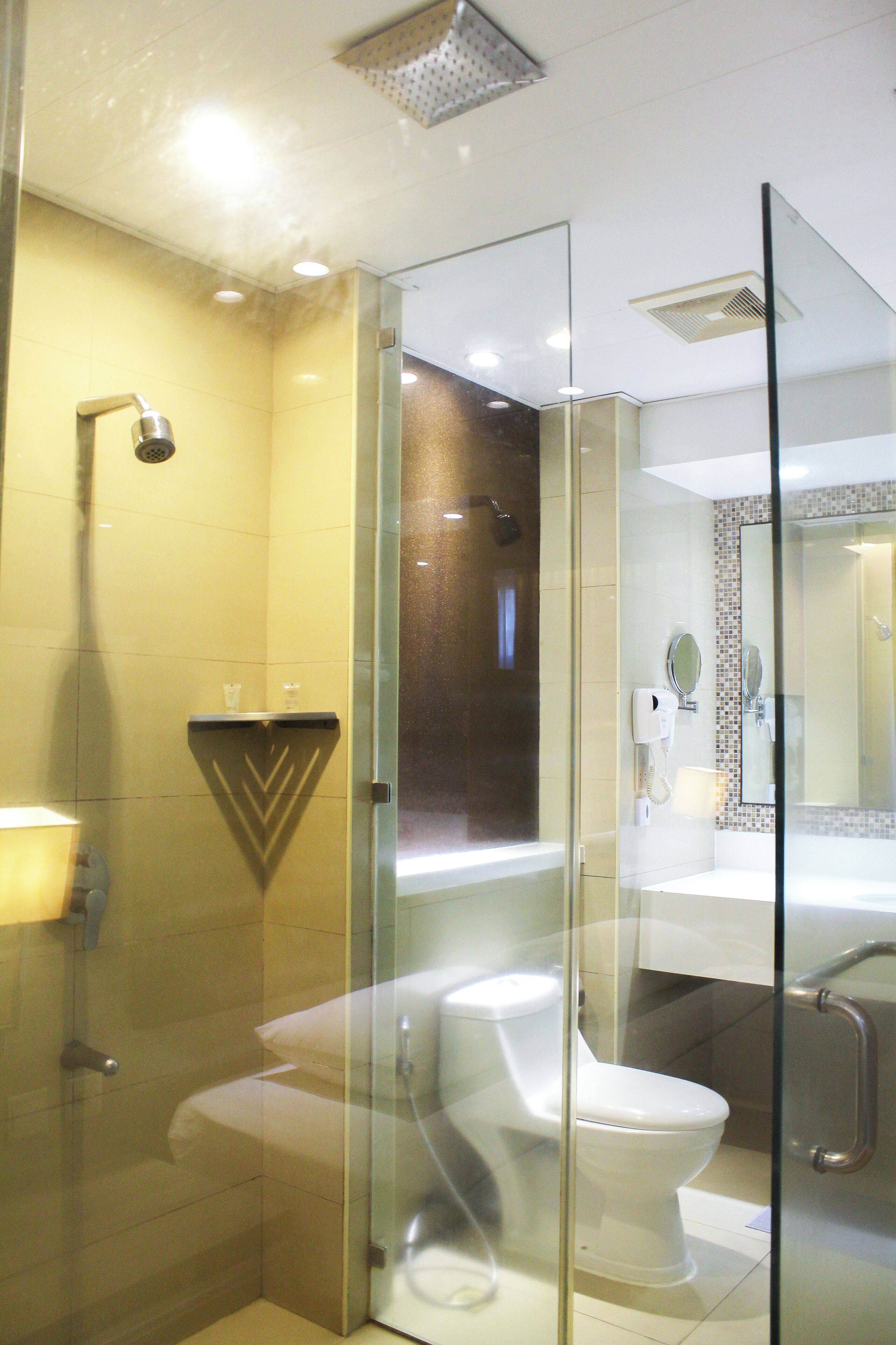 Asciugacapelli, asciugamani, sapone, carta igienica