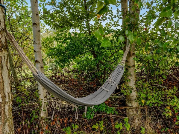 A hammock suspended between trees in a forested area.