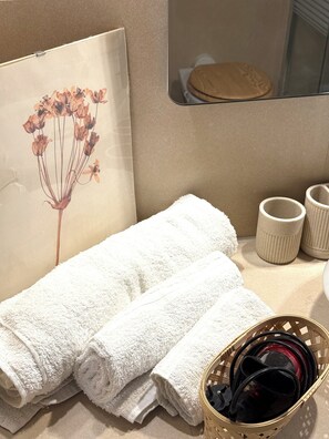 Sèche-cheveux, bidet, serviettes fournies, savon