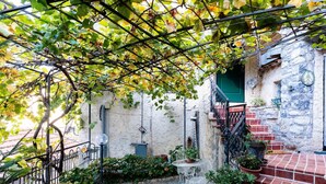 Une cour avec un chemin en pierre, une clôture en métal et un escalier en briques menant à un bâtiment doté d’une porte verte.