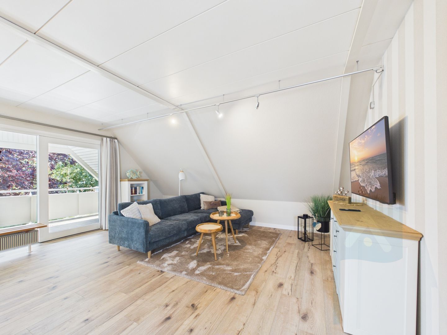 Fernseher