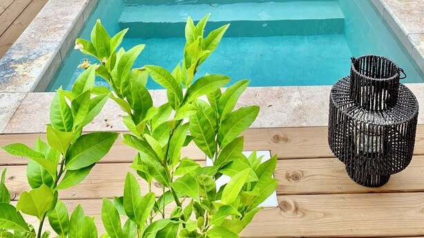 A rectangular swimming pool with steps leading into it, surrounded by a wooden deck and a bamboo fence. - 140 m2 sea view and private mini pool 9 (Propriano)