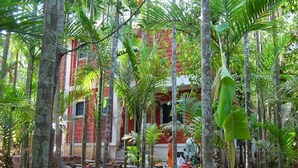 A traditional building surrounded by dense tropical vegetation. - Green Breeze Resort (Dapoli)