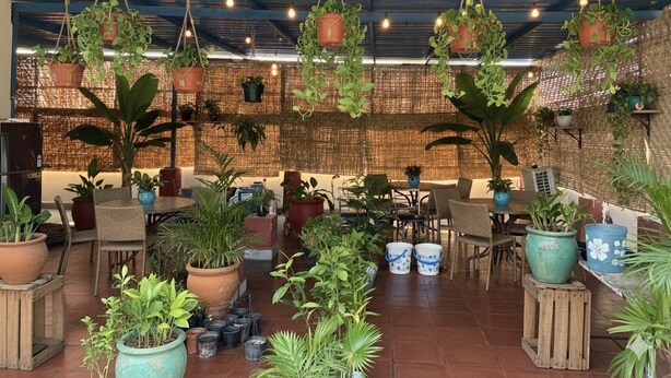 Un espace intérieur vaste et lumineux, agrémenté de plantes suspendues et en pot, de meubles en bois et d’un plafond au style rustique.