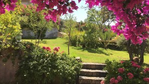 A garden with pink bougainvillea, green grass, and a stone staircase. - Mini villa 3 private pool. (Propriano)