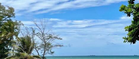 A beach with a stone wall, palm trees, and a clear sky.