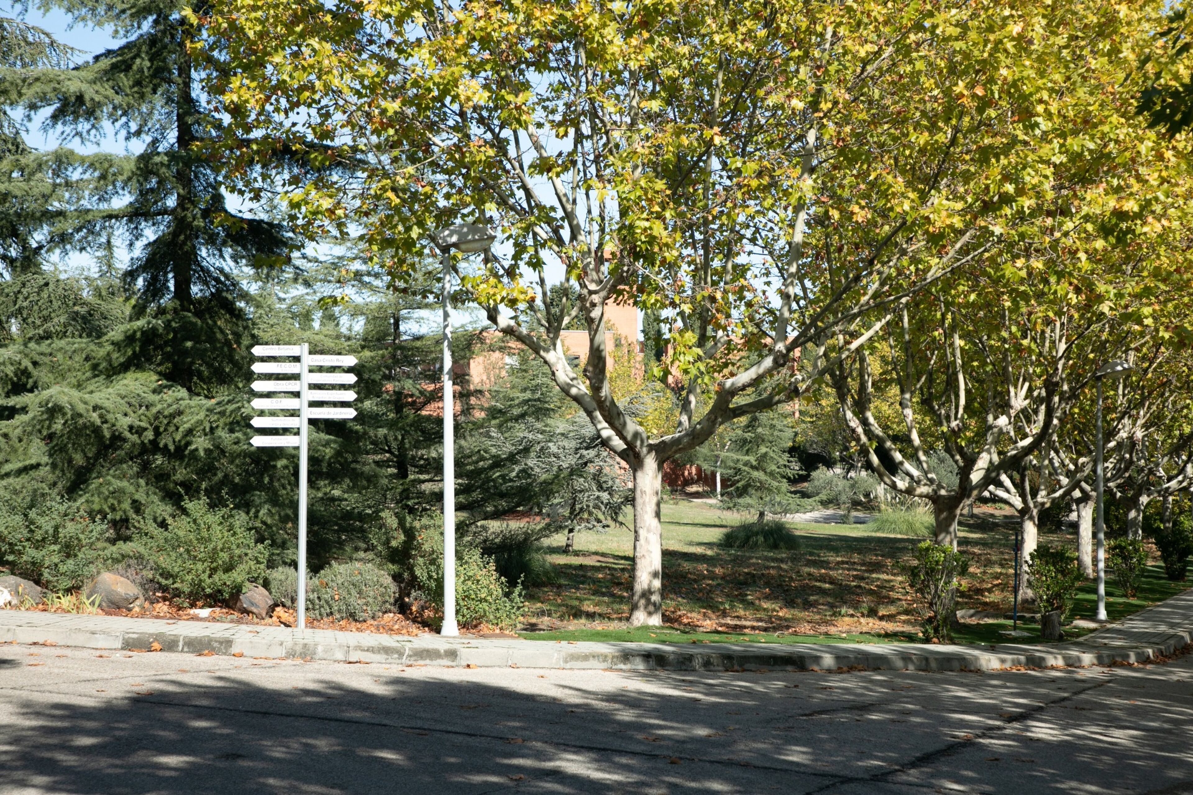 A directional signpost with multiple arrows pointing in different directions, surrounded by trees and a clear sky.