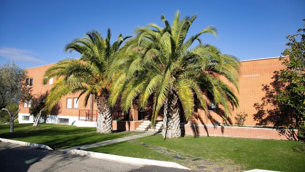 Un edificio con facciata in mattoni, palme davanti e un cielo azzurro limpido.