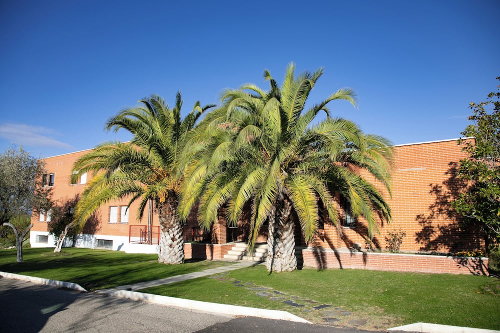 Cristo rey Pozuelo