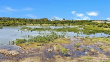 Paisagem natural com corpo d'água, vegetação e edifícios ao longe.