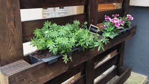 外部細節