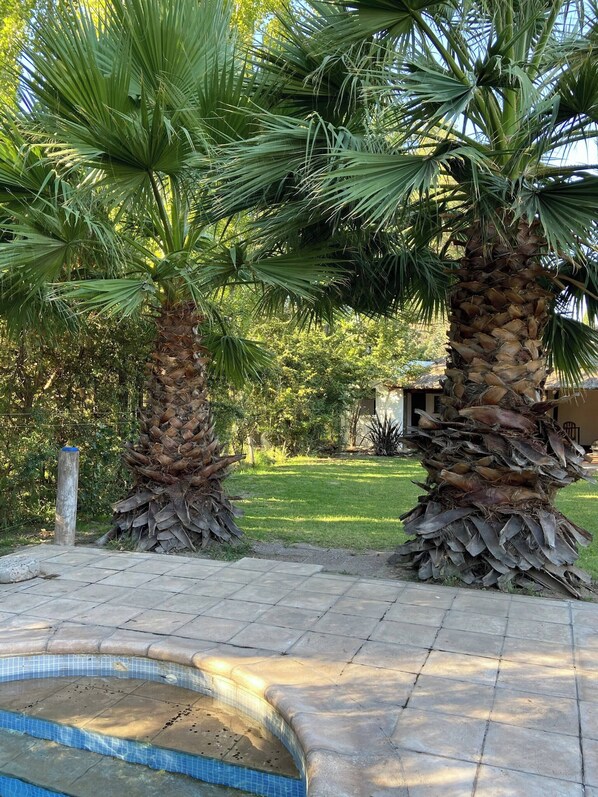 Apartment, 1 Bedroom, Smoking, Patio | Garden - Villa Entre Fresnos- (Chacras de Coria)