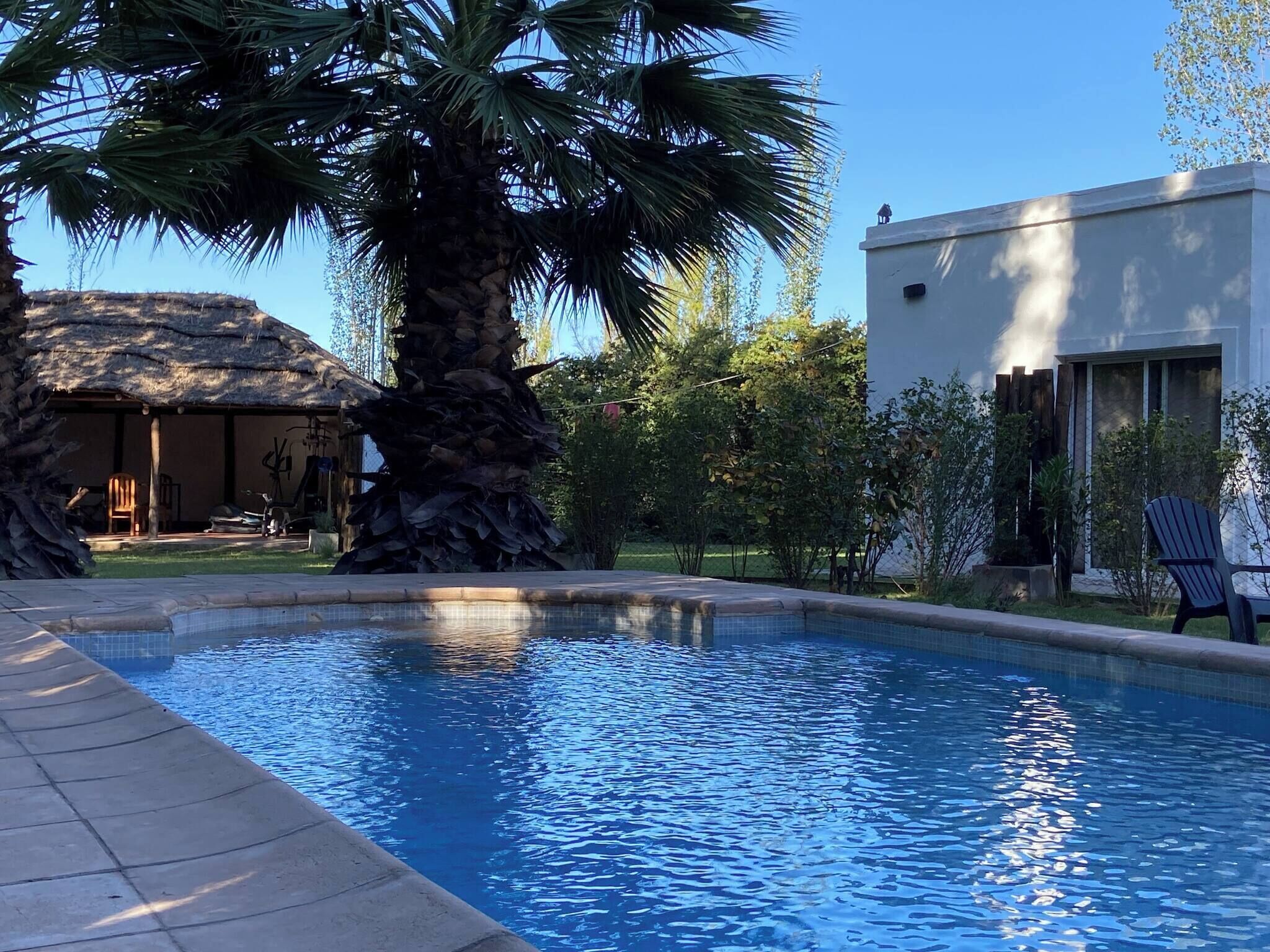 Apartment, 1 Bedroom, Smoking, Patio | Pool | Outdoor pool