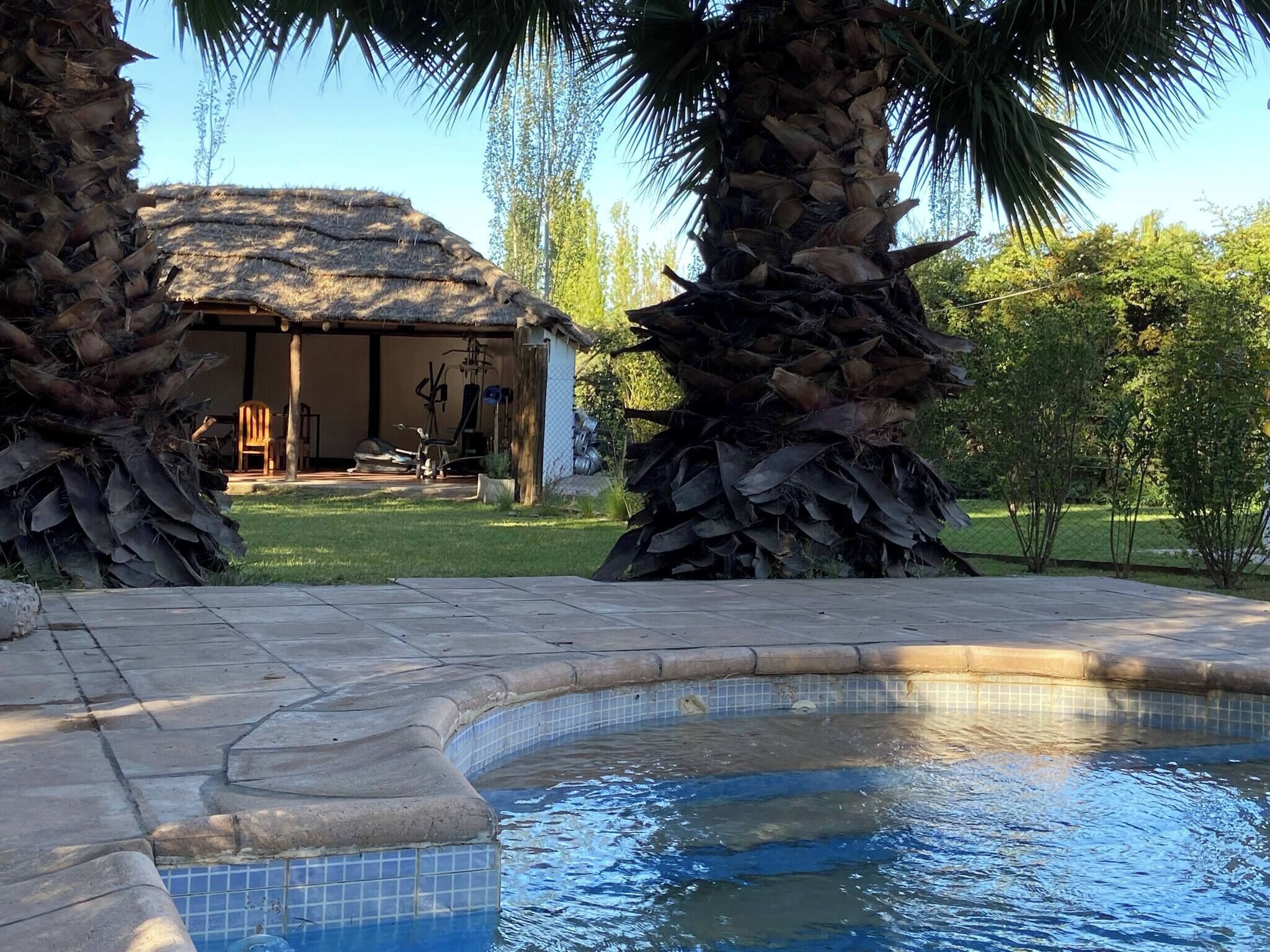 Apartment, 1 Bedroom, Smoking, Patio | Pool | Outdoor pool