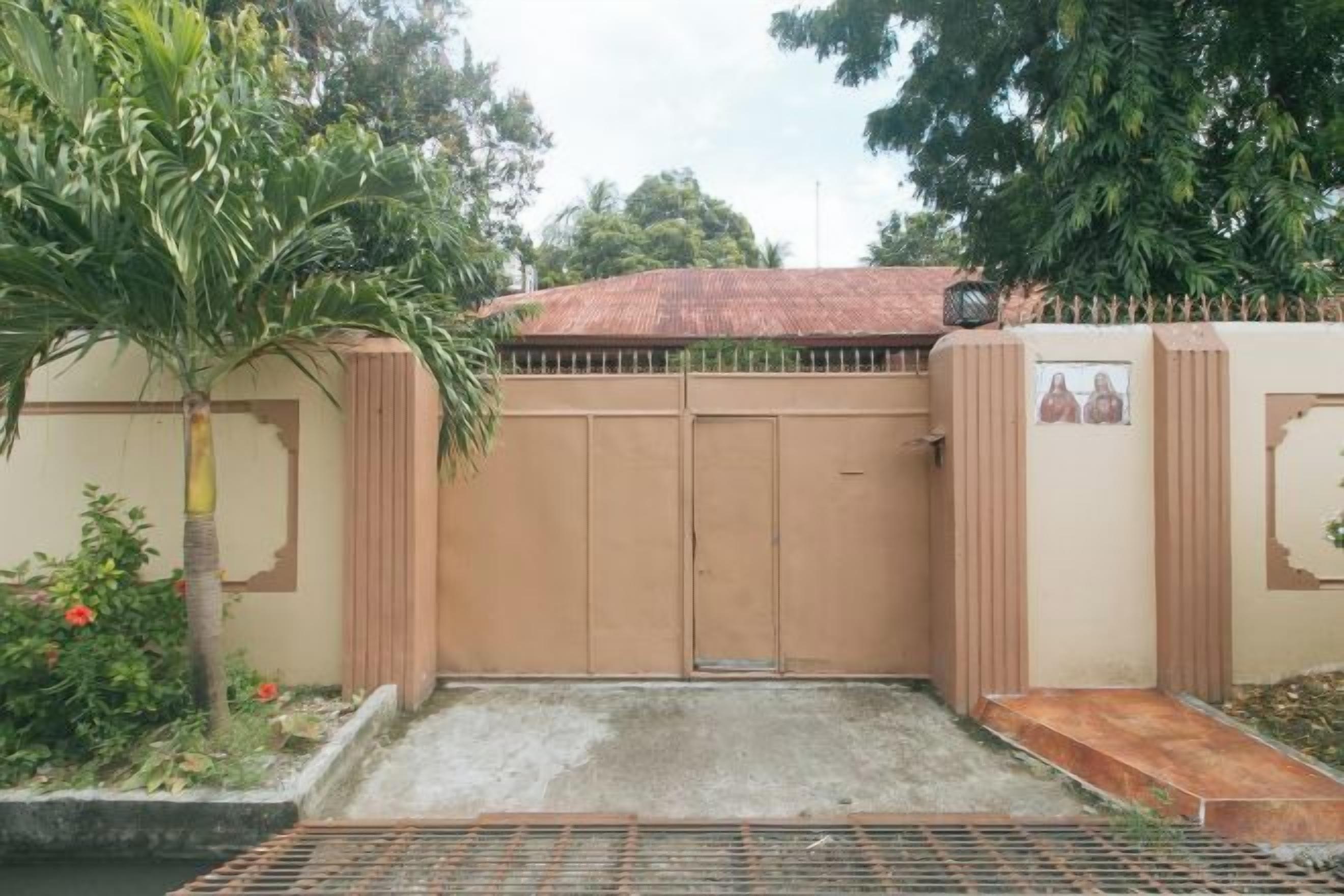 A gated entrance with a metal gate, a concrete pathway, and a palm tree.