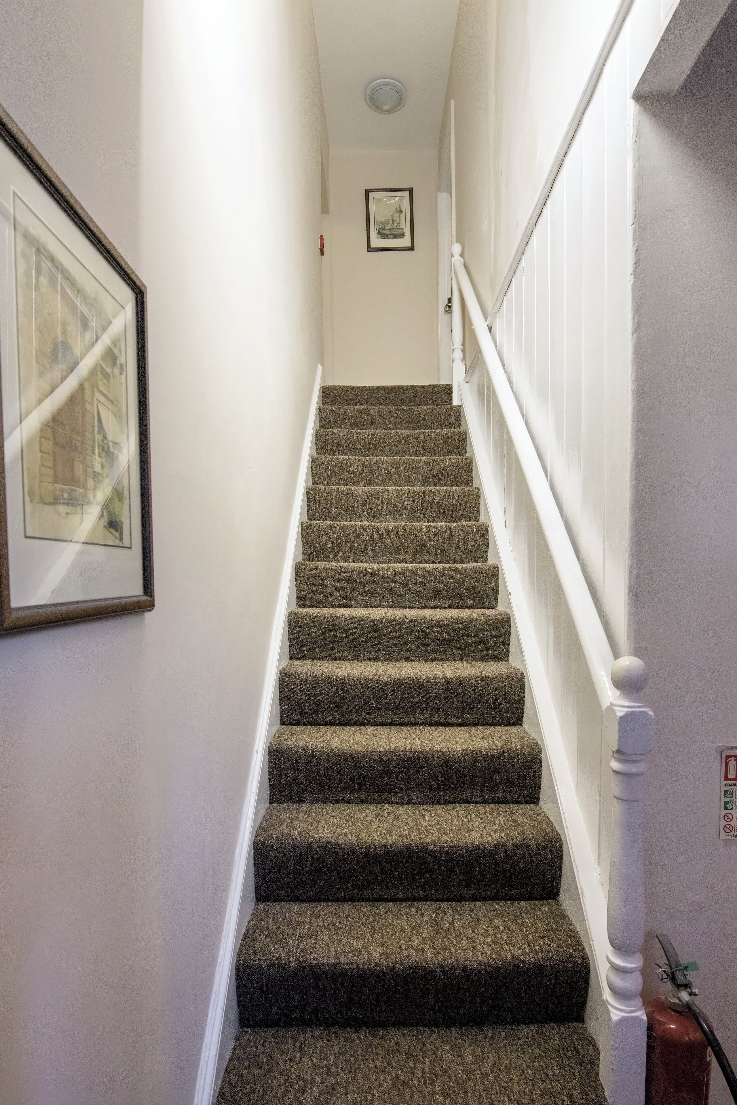 A carpeted staircase with white railings and a framed picture on the wall.