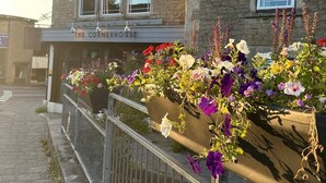 A building with a sign reading "The Cornerhouse" and a flower box with various flowers. - The Cornerhouse (Frome)