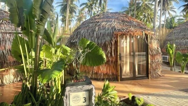 Una estructura con techo de paja y puerta de cristal, rodeada de exuberante follaje tropical y palmeras.
