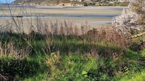 Paesaggio costiero con spiaggia, zone erbose e una collina lontana con edifici.