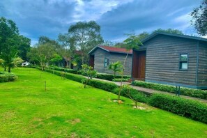 Vista des de l'allotjament