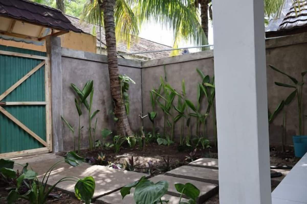 A garden area with a concrete wall, a palm tree, and various plants.