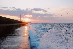 Miscellaneous - Muji House Osaka Sennan Hotel (Misaki)