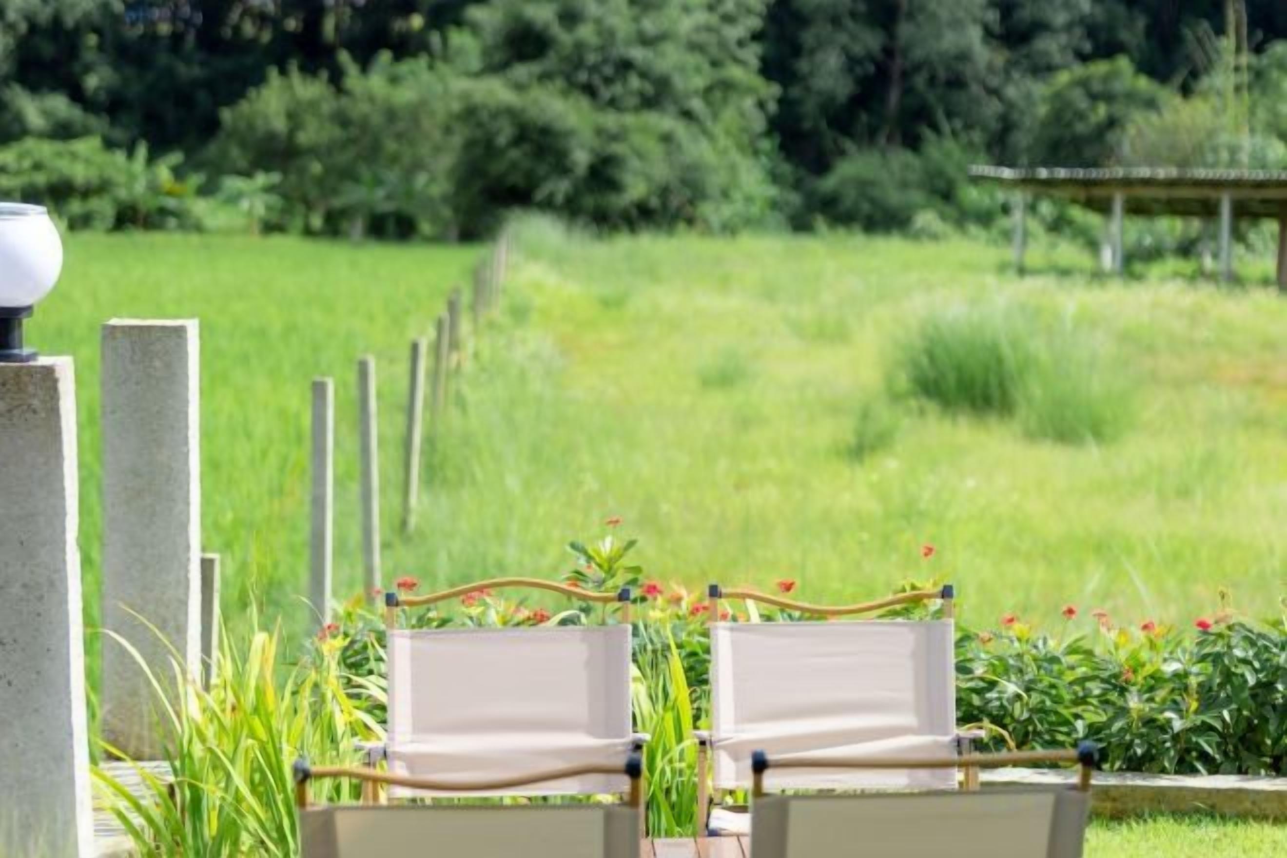 A serene outdoor seating area with two chairs and a lamp post, surrounded by lush greenery and a fence.
